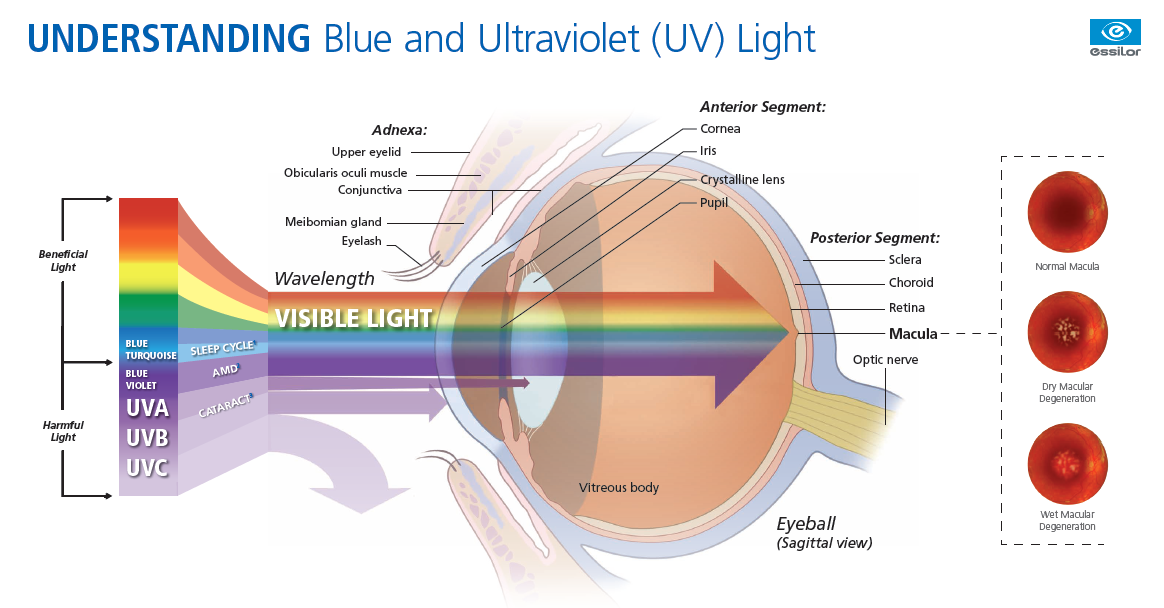 Benefits Of Anti Reflective Coatings Crizal Prevencia 1128